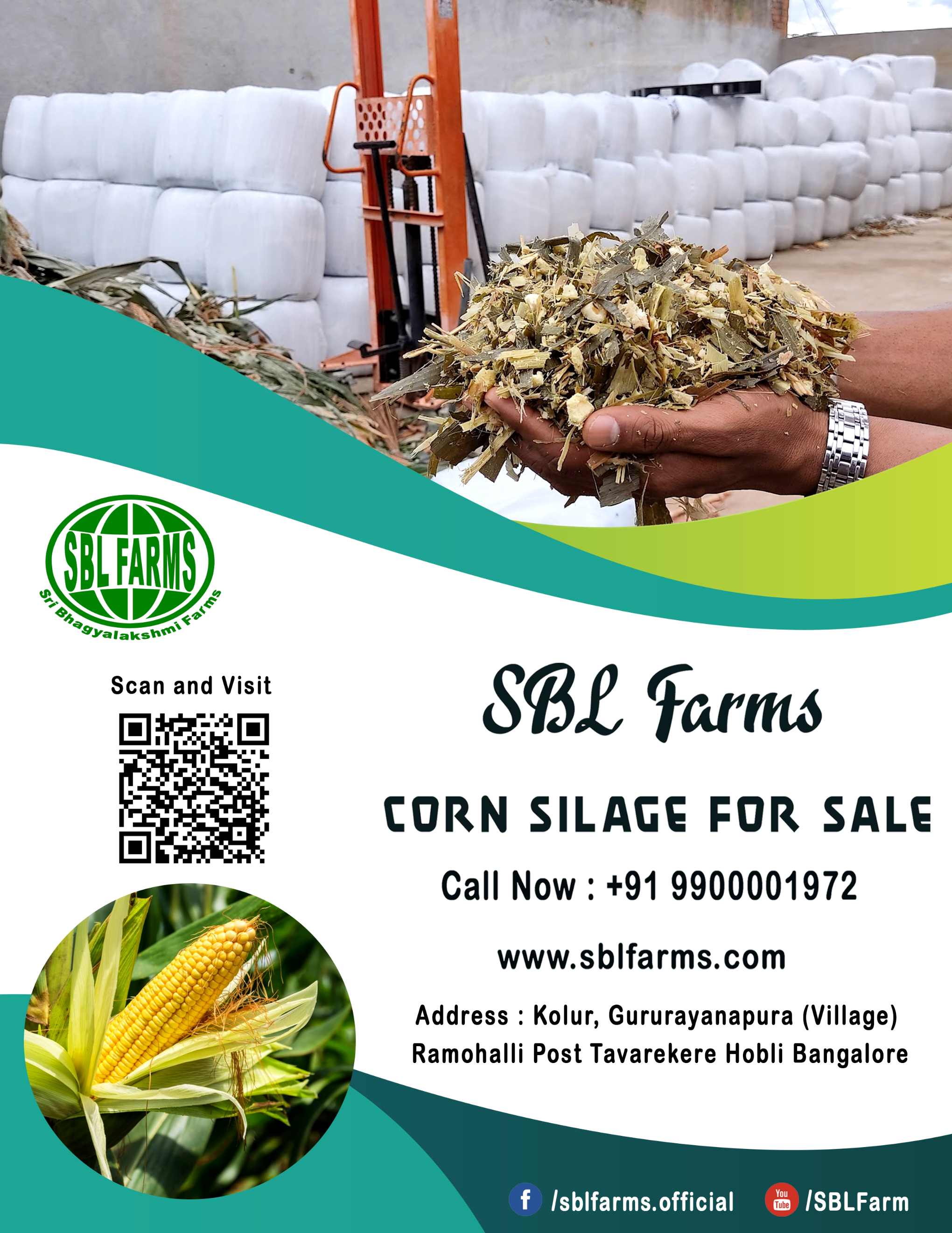 Corn Silage Suppliers in Bangalore | Corn Silage for Sale  |  Corn Silage, Baby Corn Silage manufacturers, suppliers & exporters in Bangalore | corn silage for sale in bangalore |  Sri Bhagyalakshmi Farms Corn Silage Bangalore| Silage Balers | Animal Feed Manufacturers | Production of Silage |Cattle feed manufacturers & suppliers - SBL Farms is solving the biggest fodder crisis in India, by supplying Silage bales, Bailing machines to dairy farmers, Cooperatives, Animal Husbandry | Best Cattle Feed Manufacturers & Silage Suppliers in India | Indias Best Baled Silage Producers